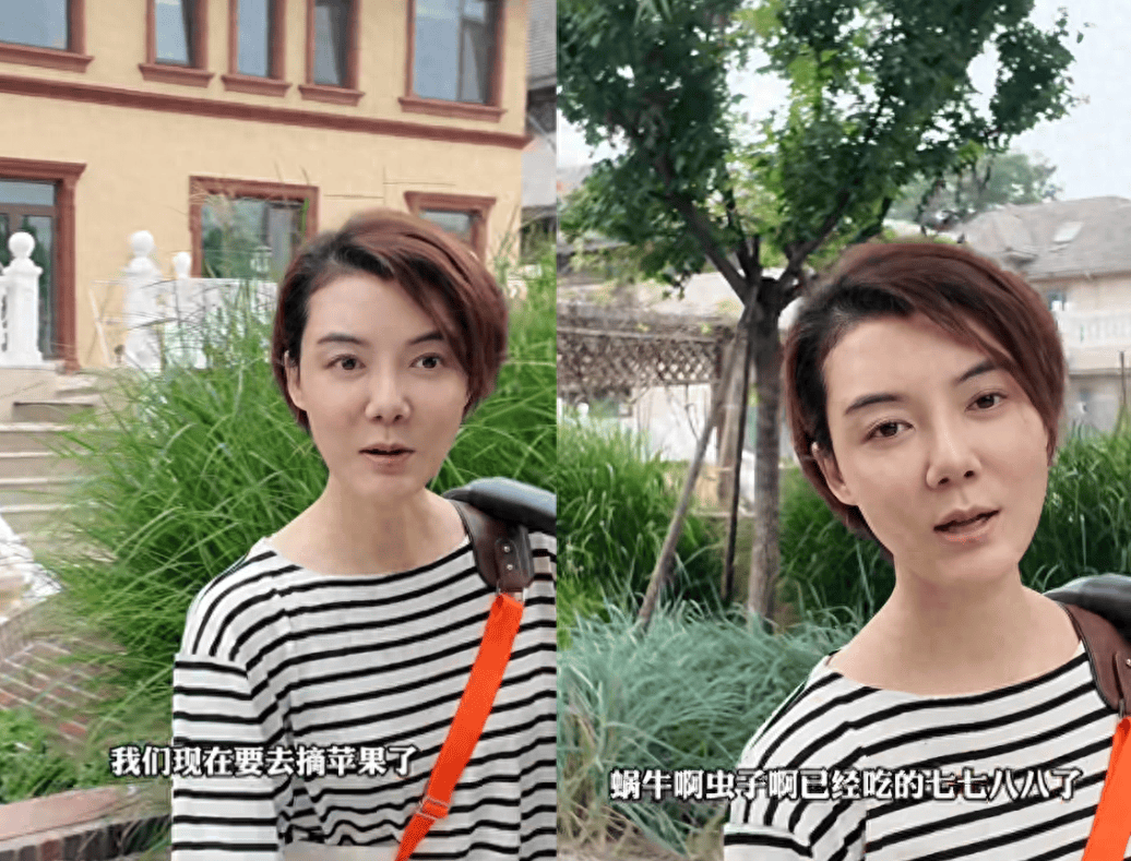苹果手机免费梯子软件-苹果手机梯子软件都有哪些
