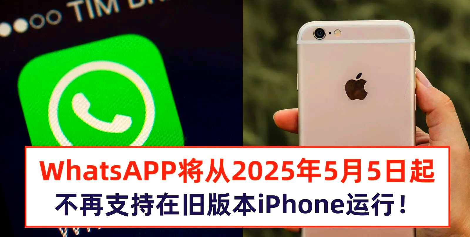 whatsapp苹果能用么-苹果手机可以用whatsapp在中国?