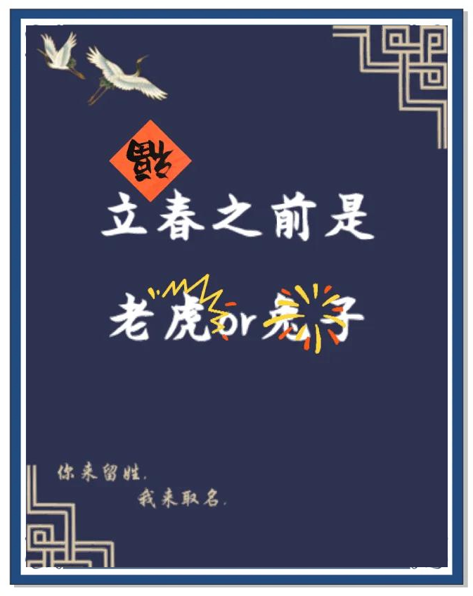 立春是特马是什么生肖和动物的简单介绍