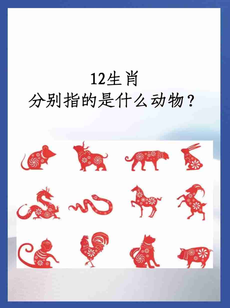 欲钱神奇的动物是指什么生肖-欲钱买神出鬼没的动物猜一生肖