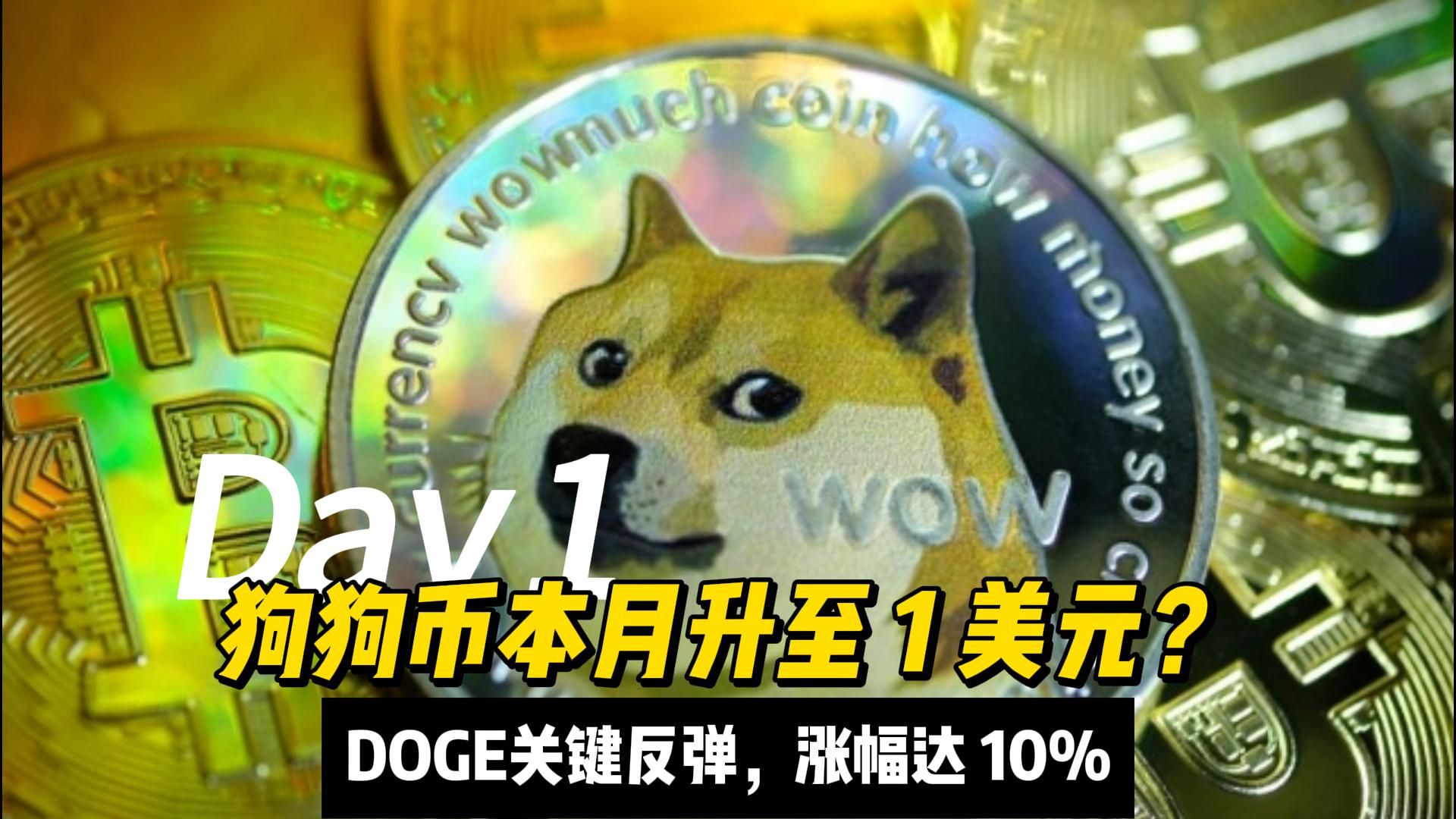 狗狗币的最新消息-狗狗币最新消息价格