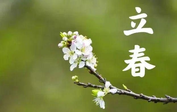 立春是持码打一生肖-立春打一生肖或一数字