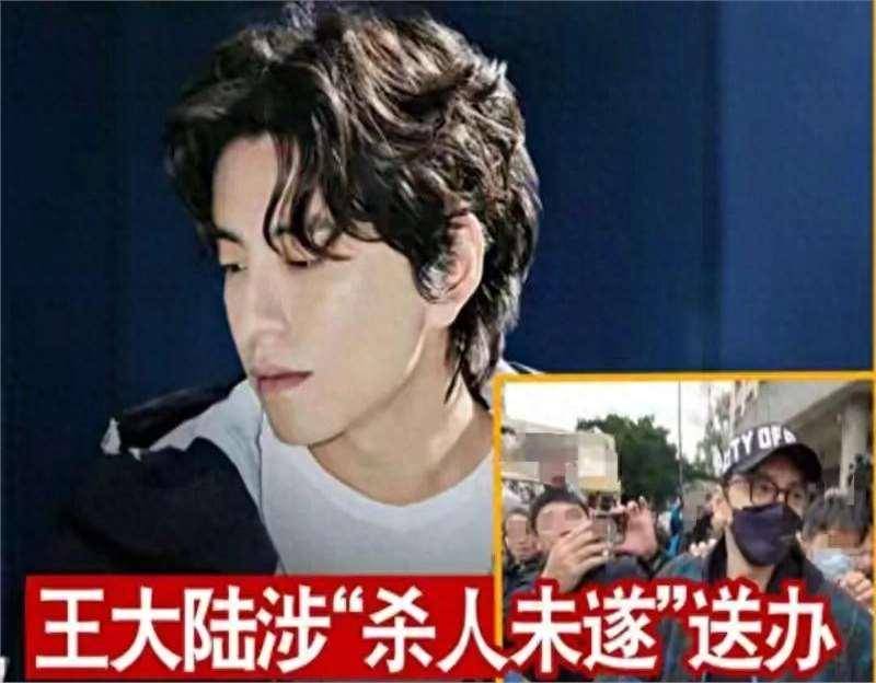 王大陆曾向朋友炫耀打人画面的简单介绍