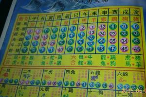 今期生肖出二门有玄机是什么生肖-今期生肖出二门有玄机是什么生肖动物