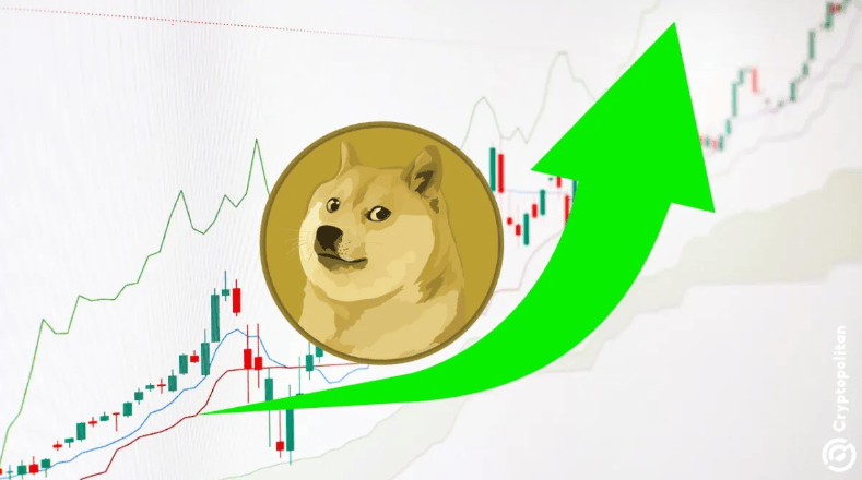 狗狗币最新消息-狗狗币最新消息新闻