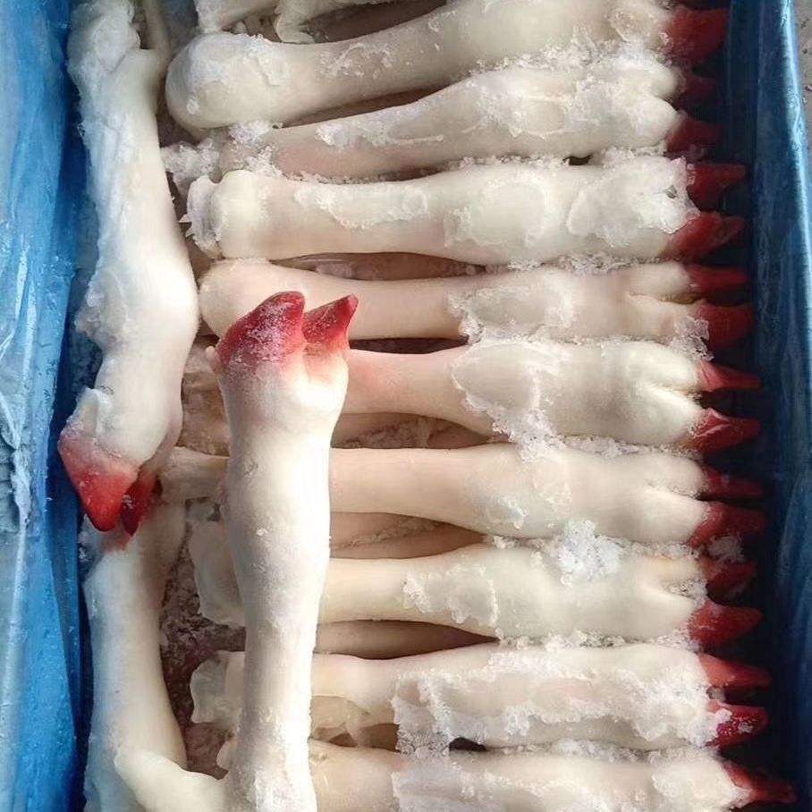 细羊足是什么意思-细羊足玄机是什么动物
