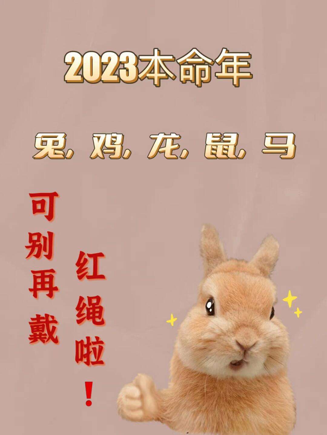 今期六字出玄机最佳生肖-今期六字出玄机最佳生肖是什么