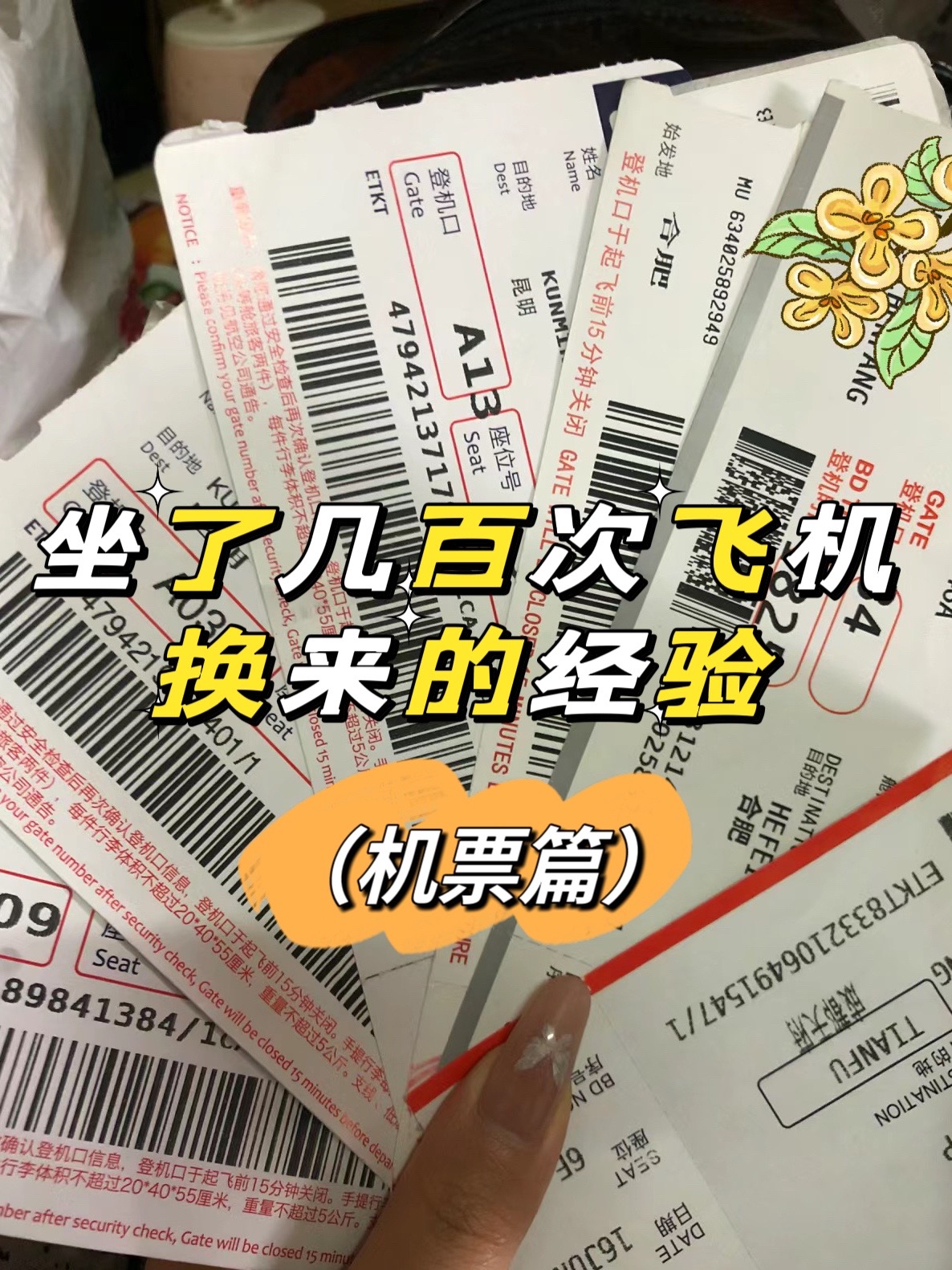 纸飞机代购-纸飞机代理服务器