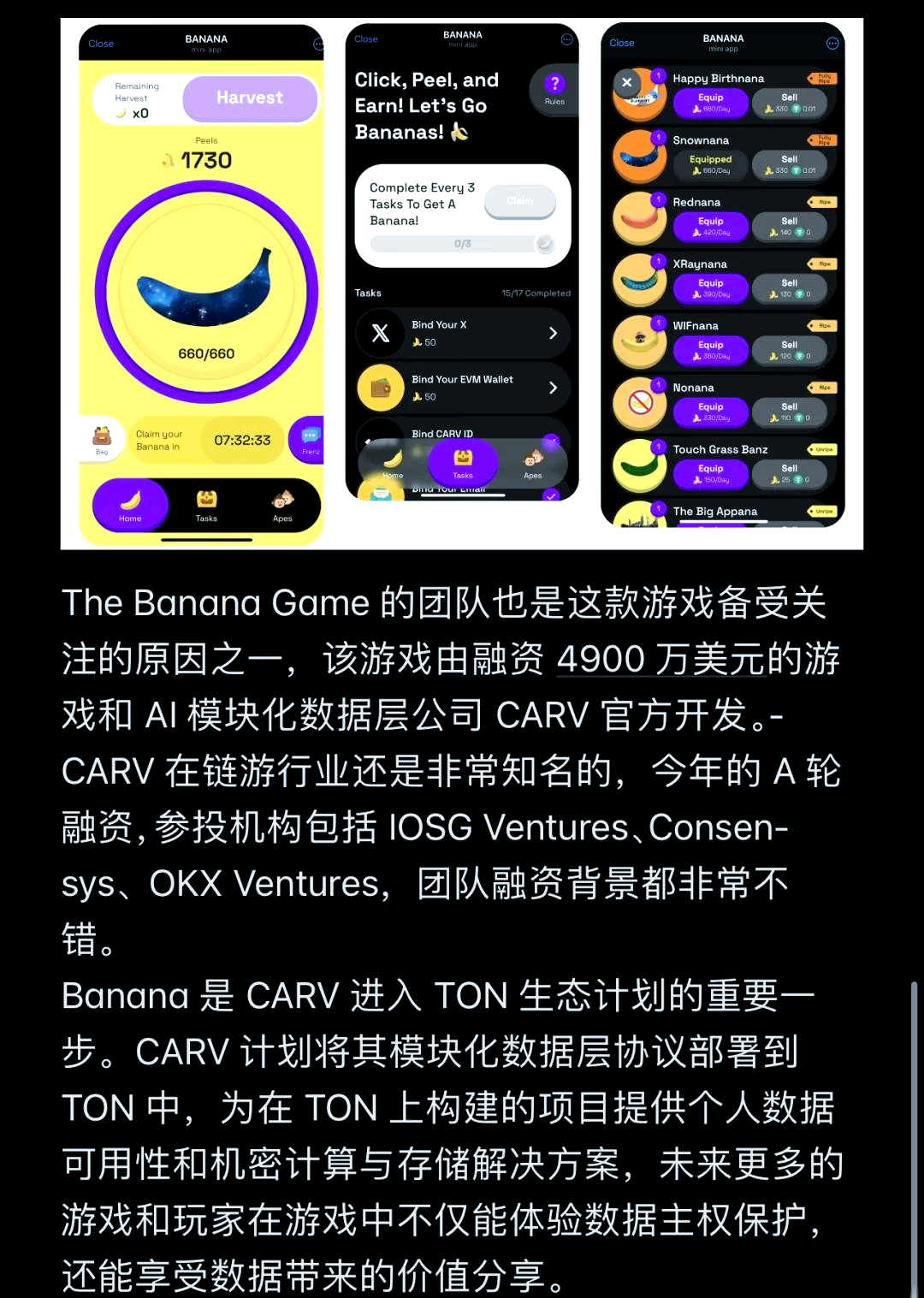 tg是什么网站-TG是什么网站的缩写