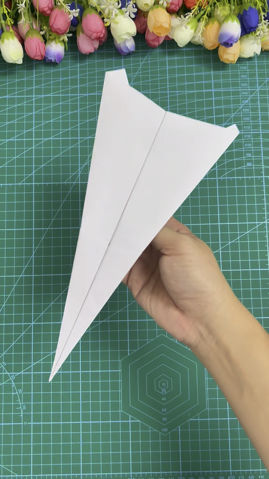 纸飞机查资料-纸飞机zh_cn