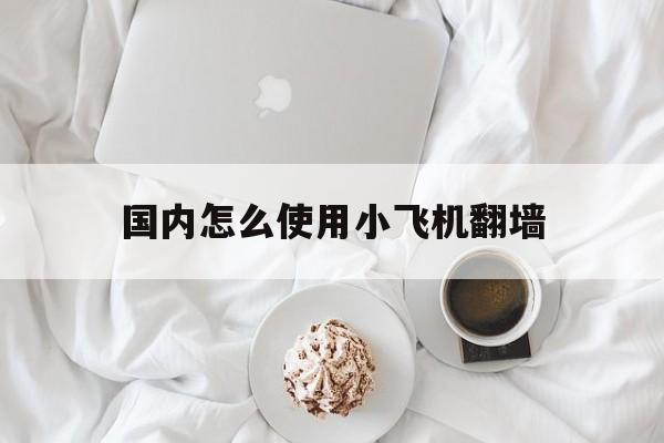 国内怎么使用小飞机翻墙_在中国怎么使用小飞机软件