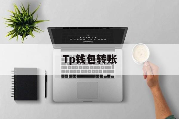 Tp钱包转账_TP钱包转账显示签名错误