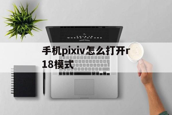 手机pixiv怎么打开r18模式_手机版pixiv怎么打开r18模式